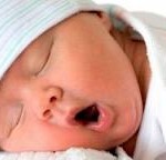Los 5 sentidos del bebe